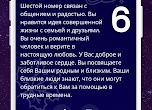 Сперва разберитесь в себе: как родителям первоклассников подготовиться к школе